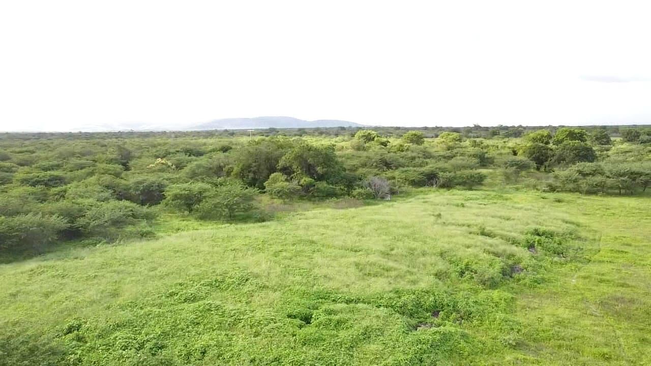 Terreno de 1.310 ha em Morpará, BA