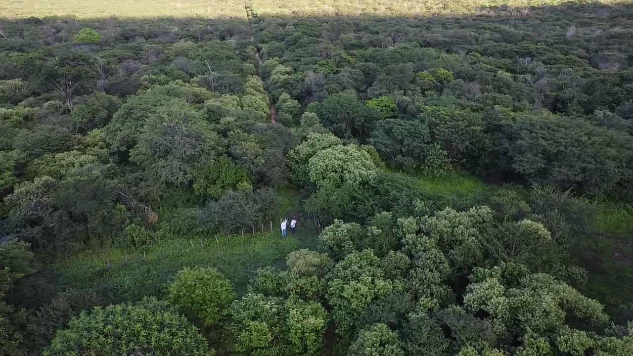 Terreno de 1.310 ha em Morpará, BA