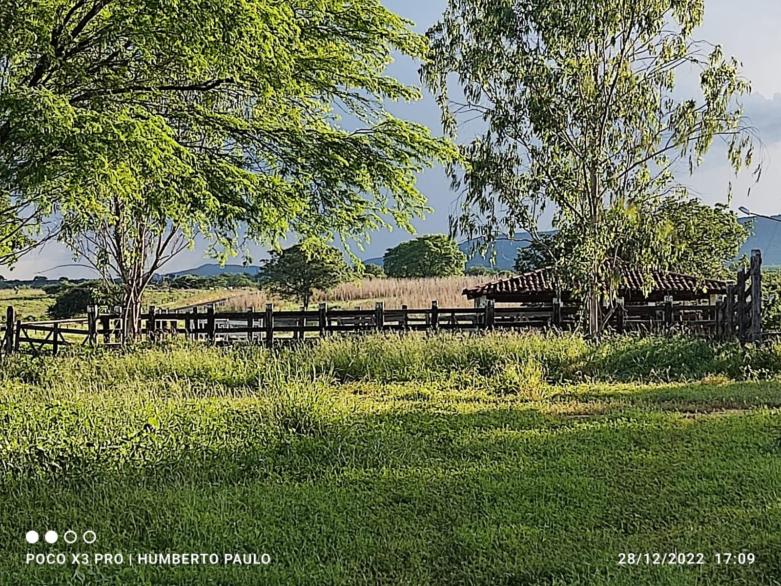 Terreno de 1.310 ha em Morpará, BA