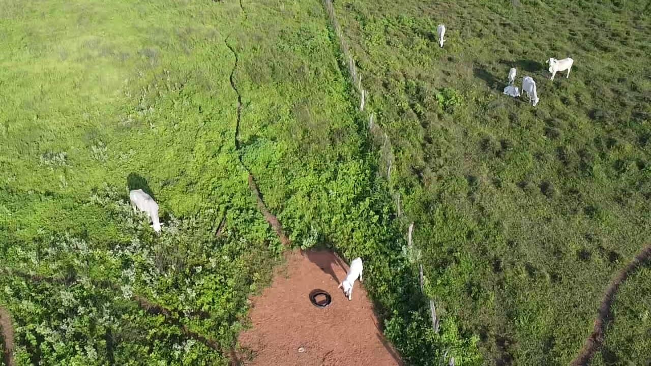 Terreno de 1.310 ha em Morpará, BA