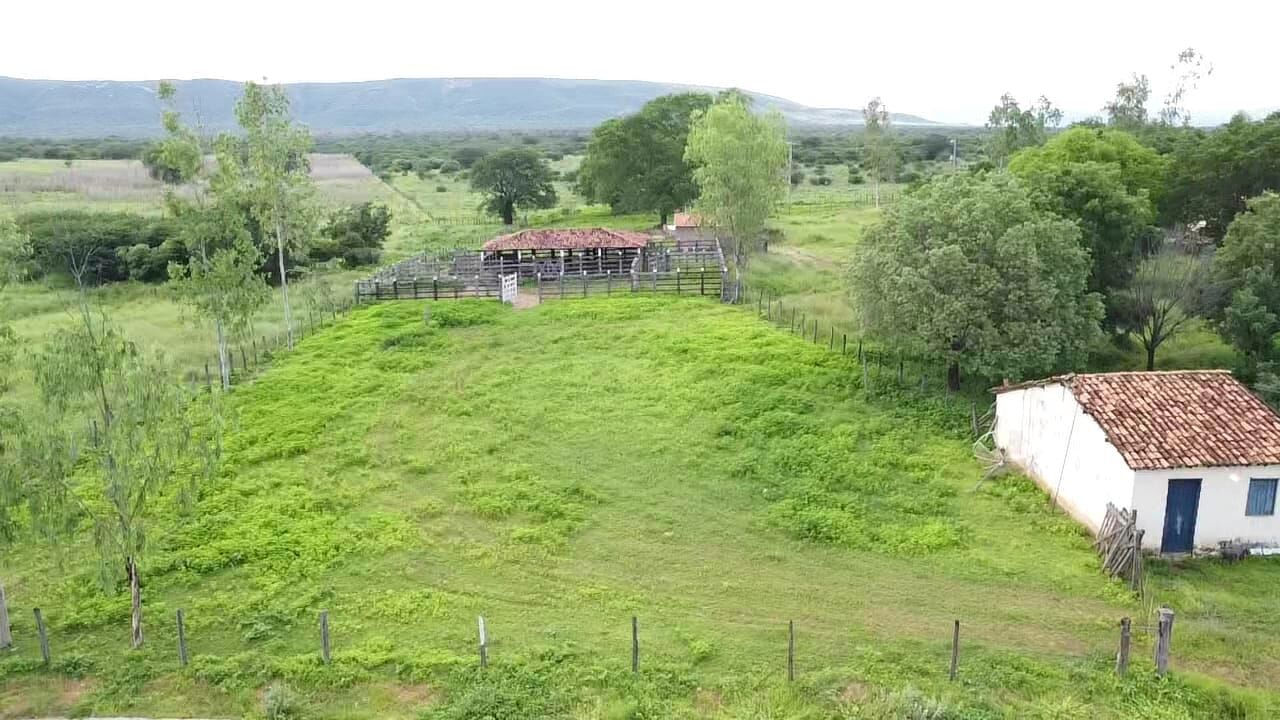 Terreno de 1.310 ha em Morpará, BA