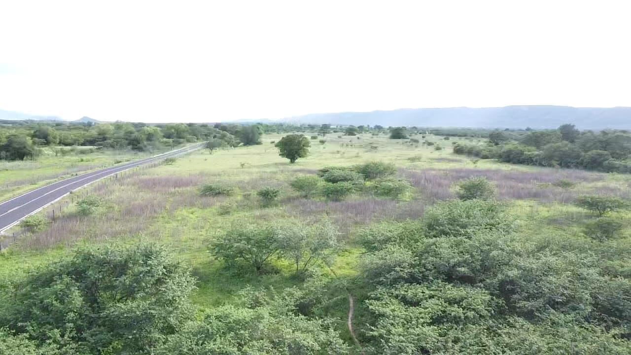 Terreno de 1.310 ha em Morpará, BA