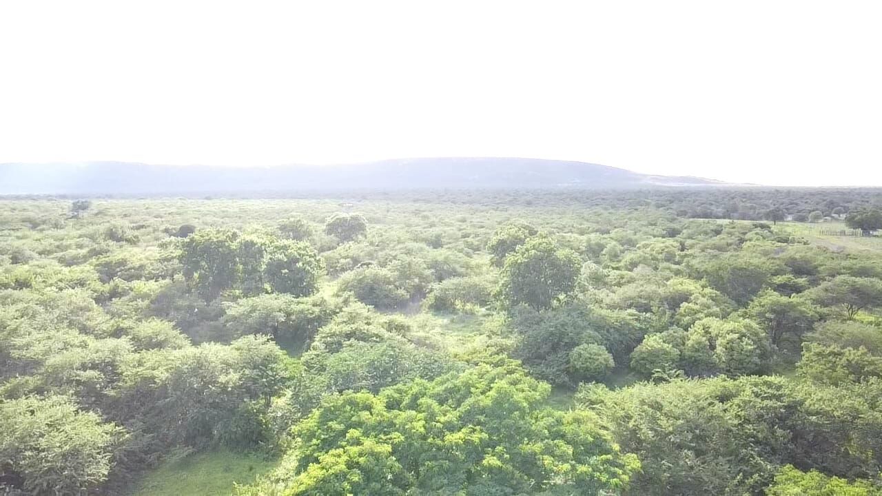 Terreno de 1.310 ha em Morpará, BA