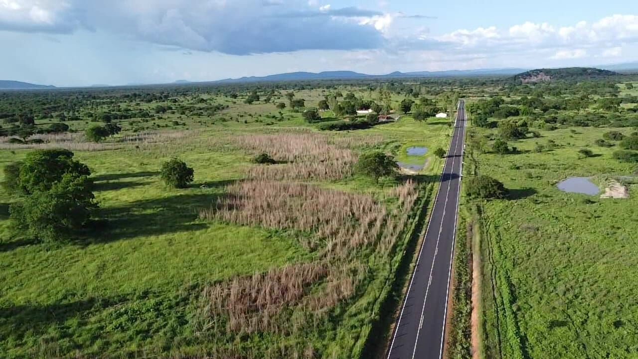 Terreno de 1.310 ha em Morpará, BA