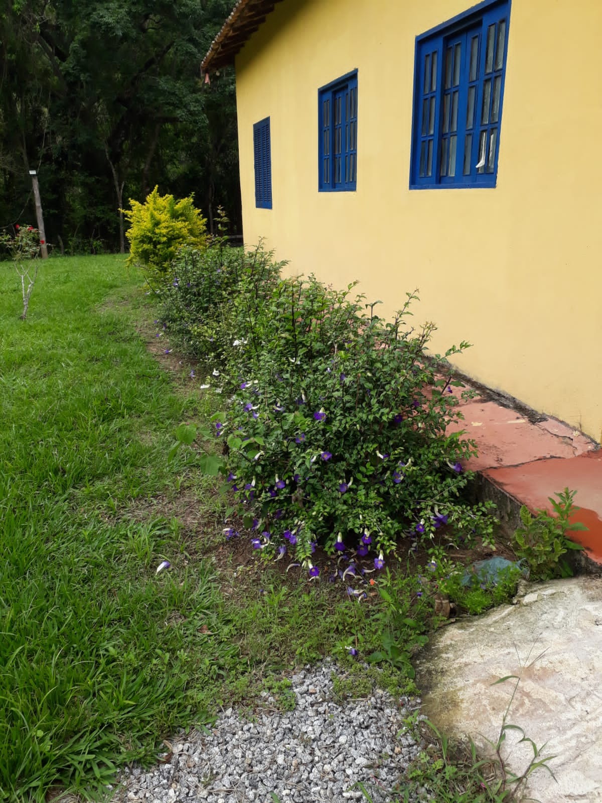 Fazenda de 61 ha em Pindamonhangaba, SP