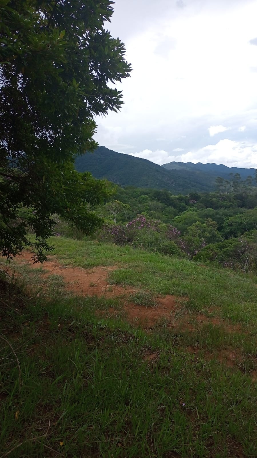 Terreno de 10 ha em São José dos Campos, SP