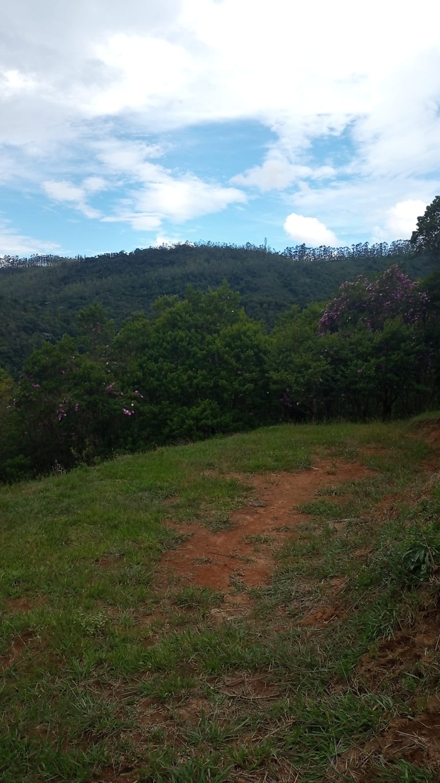 Terreno de 10 ha em São José dos Campos, SP