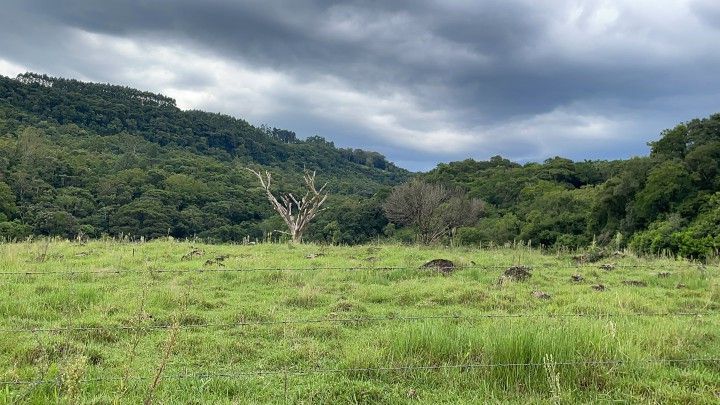 Chácara de 2 ha em Taquara, RS