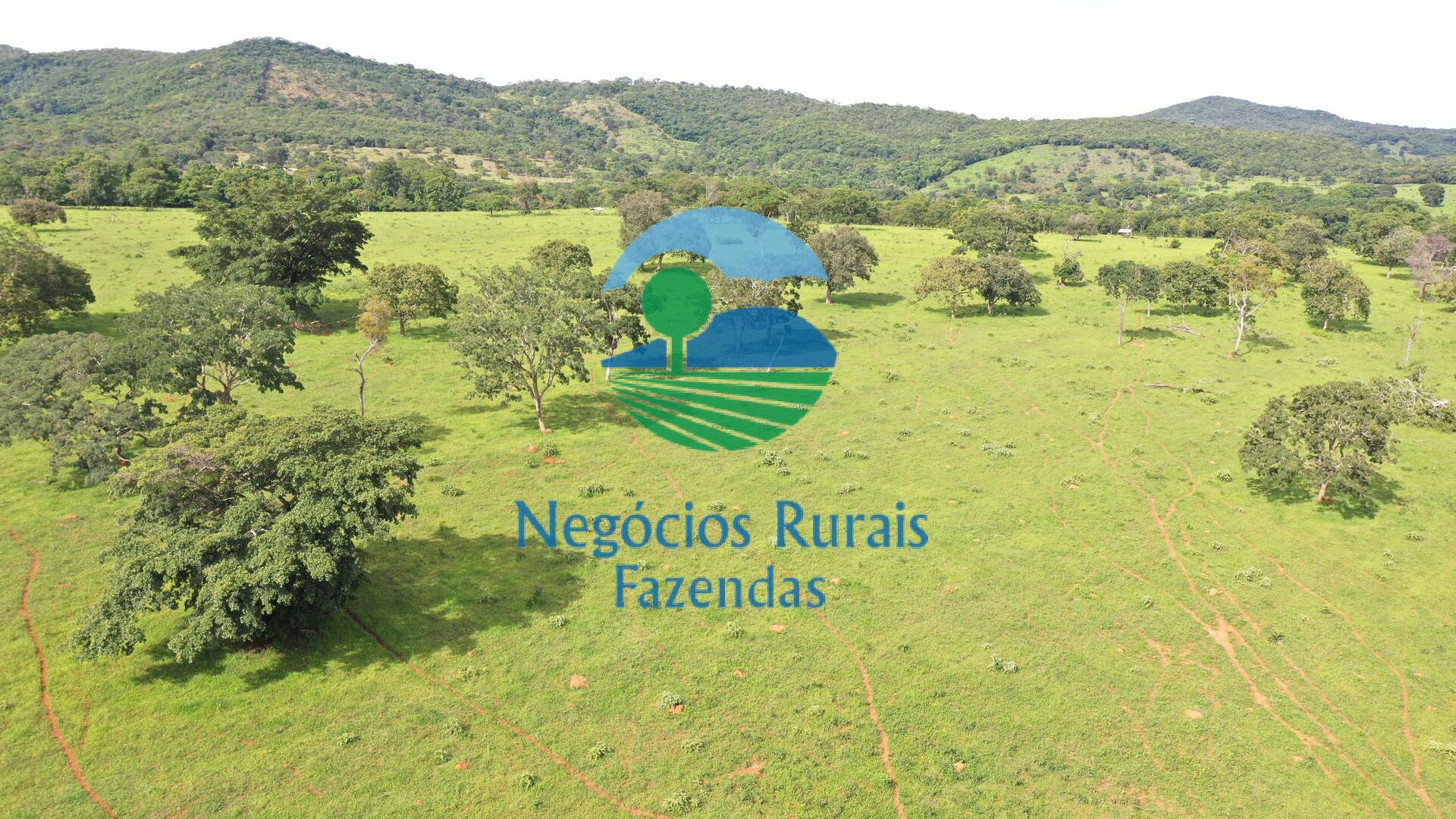 Fazenda de 174 ha em Pirenópolis, GO