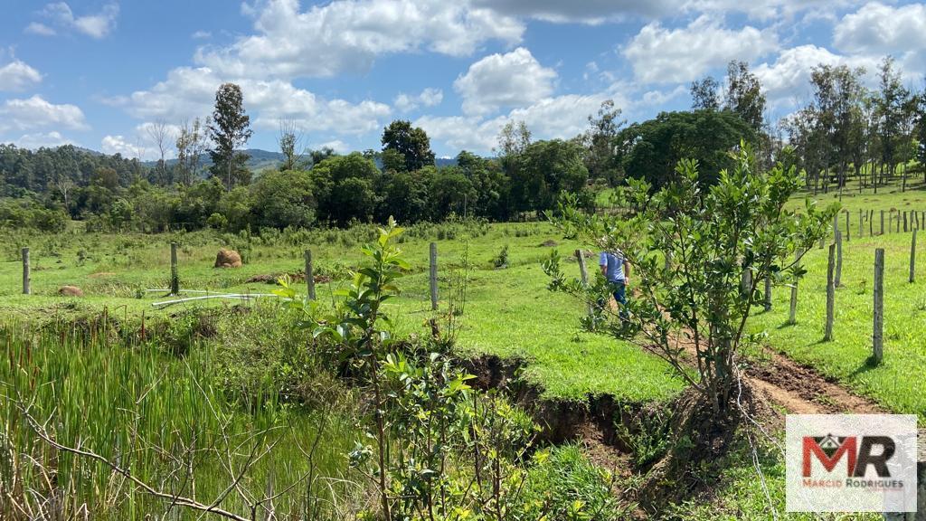 Fazenda de 48 ha em São Gonçalo do Sapucaí, MG