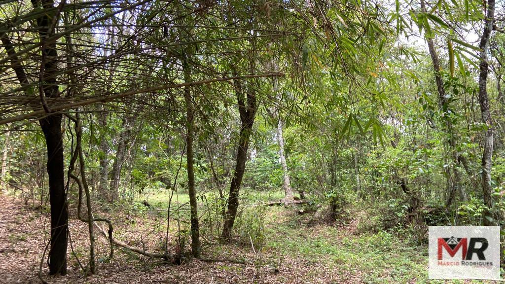 Fazenda de 48 ha em São Gonçalo do Sapucaí, MG