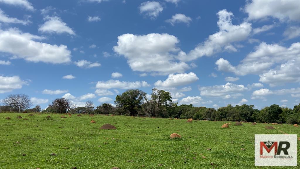 Fazenda de 48 ha em São Gonçalo do Sapucaí, MG