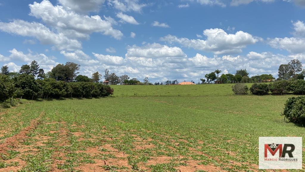 Fazenda de 48 ha em São Gonçalo do Sapucaí, MG