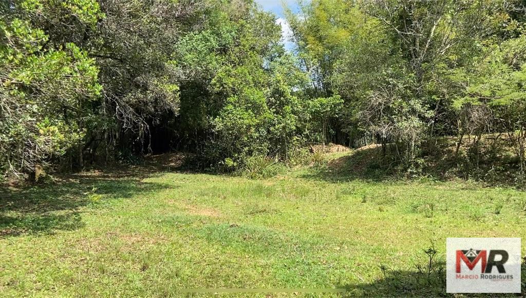 Fazenda de 48 ha em São Gonçalo do Sapucaí, MG