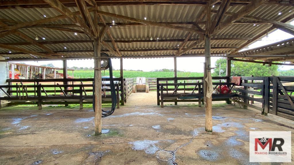 Fazenda de 48 ha em São Gonçalo do Sapucaí, MG