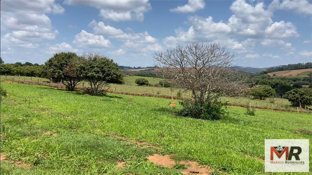 Fazenda de 48 ha em São Gonçalo do Sapucaí, MG