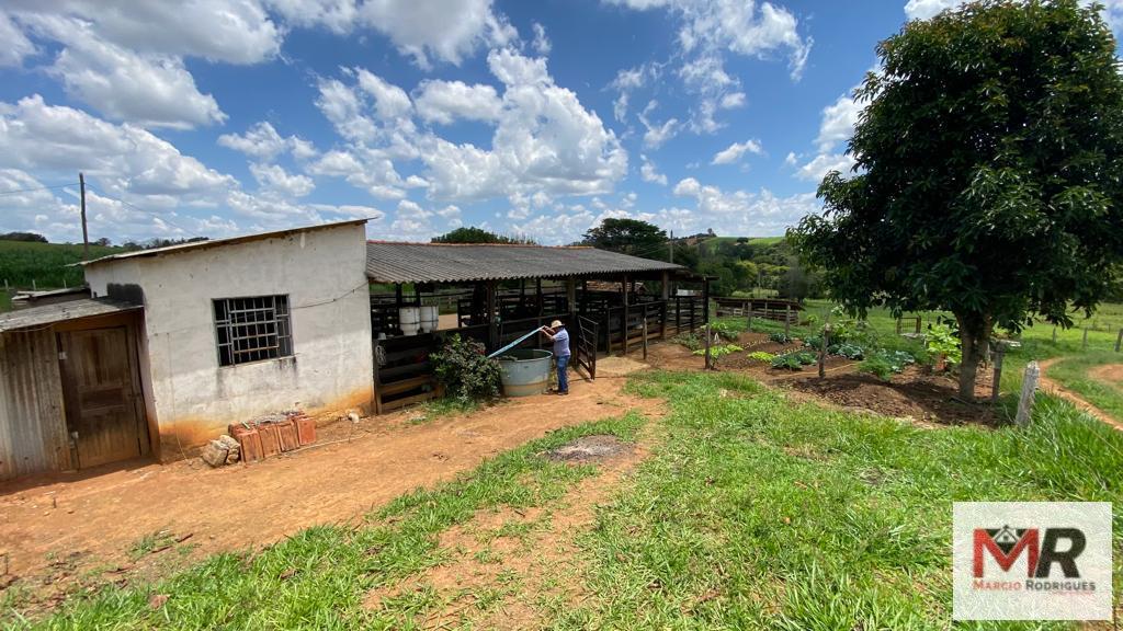 Fazenda de 48 ha em São Gonçalo do Sapucaí, MG