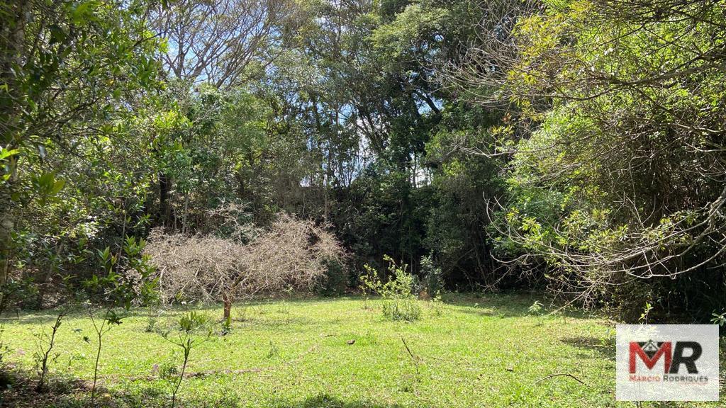 Fazenda de 48 ha em São Gonçalo do Sapucaí, MG