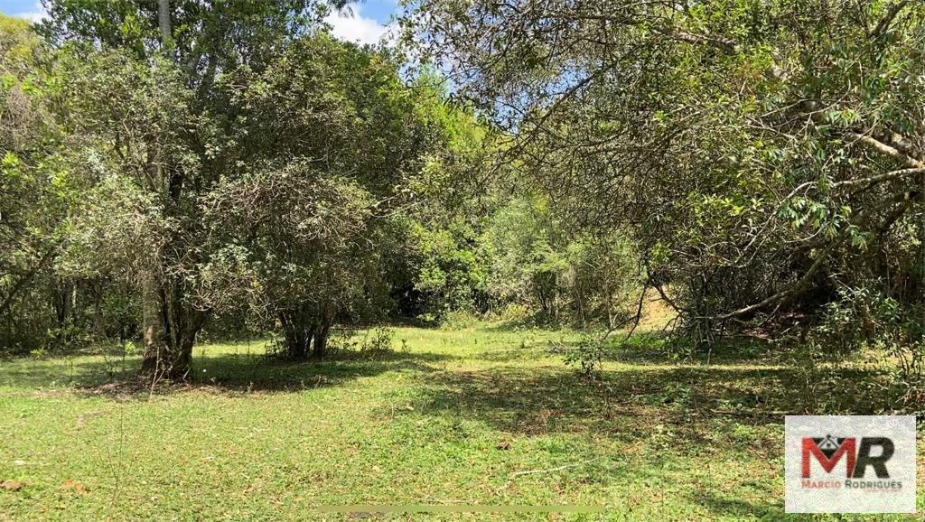 Fazenda de 48 ha em São Gonçalo do Sapucaí, MG