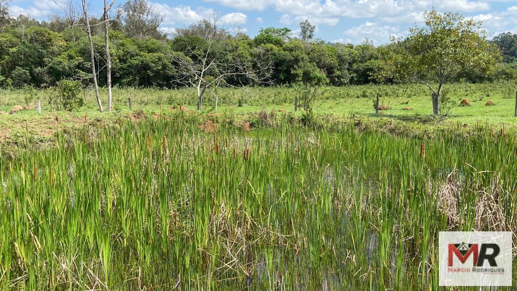 Fazenda de 48 ha em São Gonçalo do Sapucaí, MG