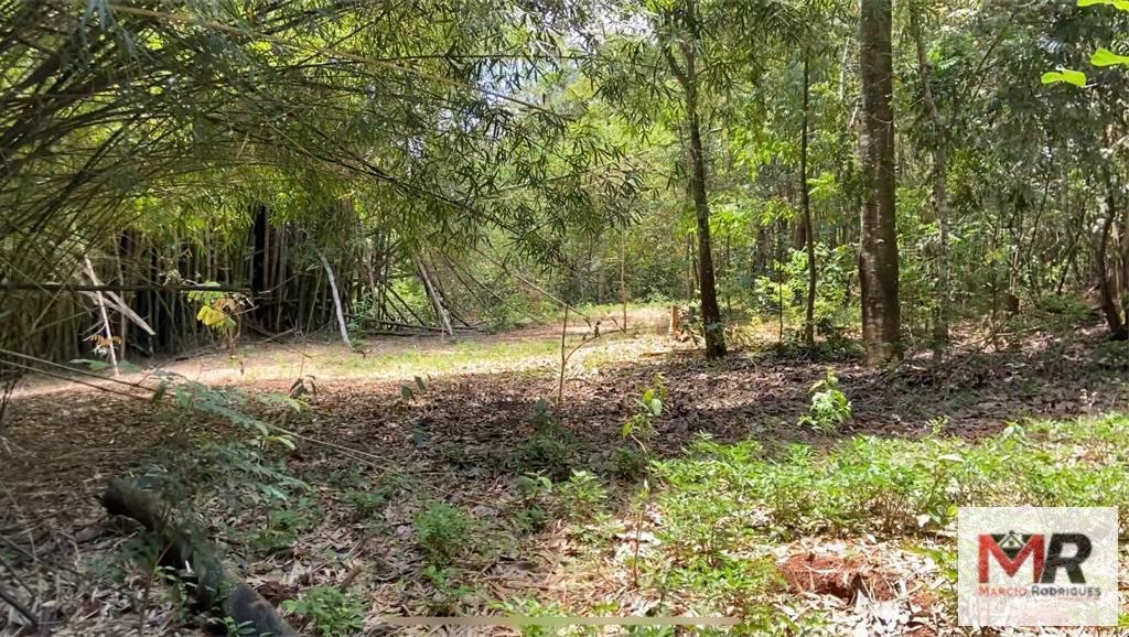 Fazenda de 48 ha em São Gonçalo do Sapucaí, MG