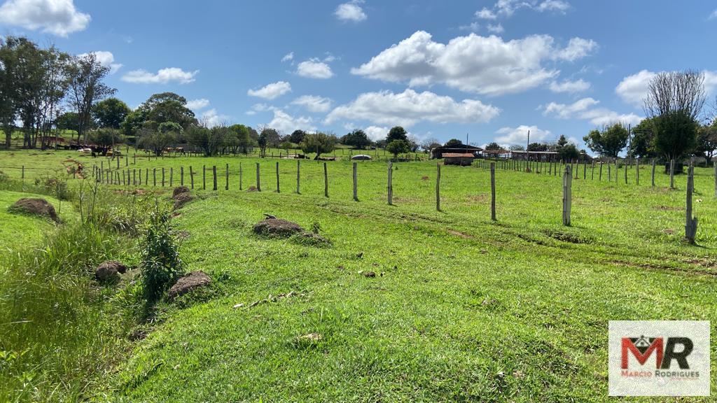 Fazenda de 48 ha em São Gonçalo do Sapucaí, MG