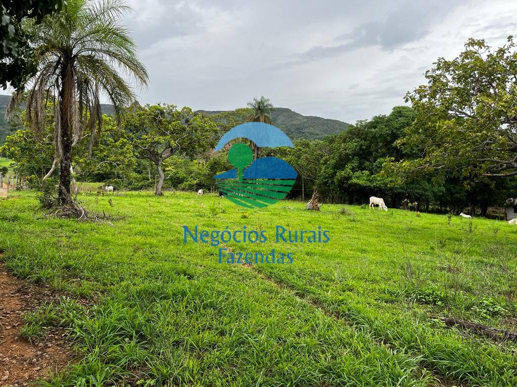 Fazenda de 1.510 ha em São João d'Aliança, GO