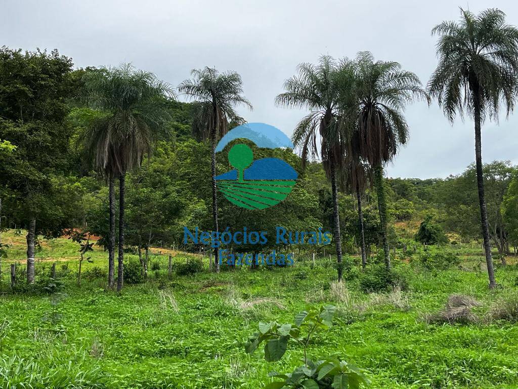 Fazenda de 1.510 ha em São João d'Aliança, GO