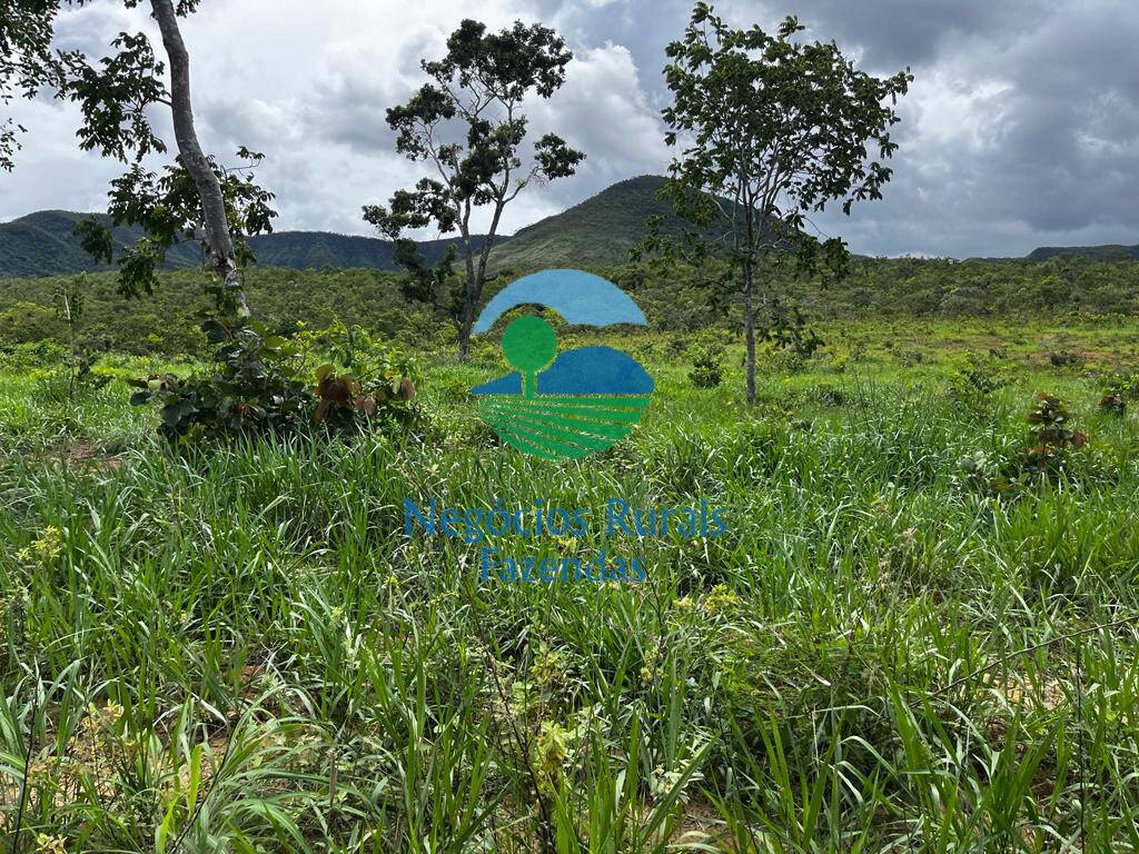 Fazenda de 1.510 ha em São João d'Aliança, GO