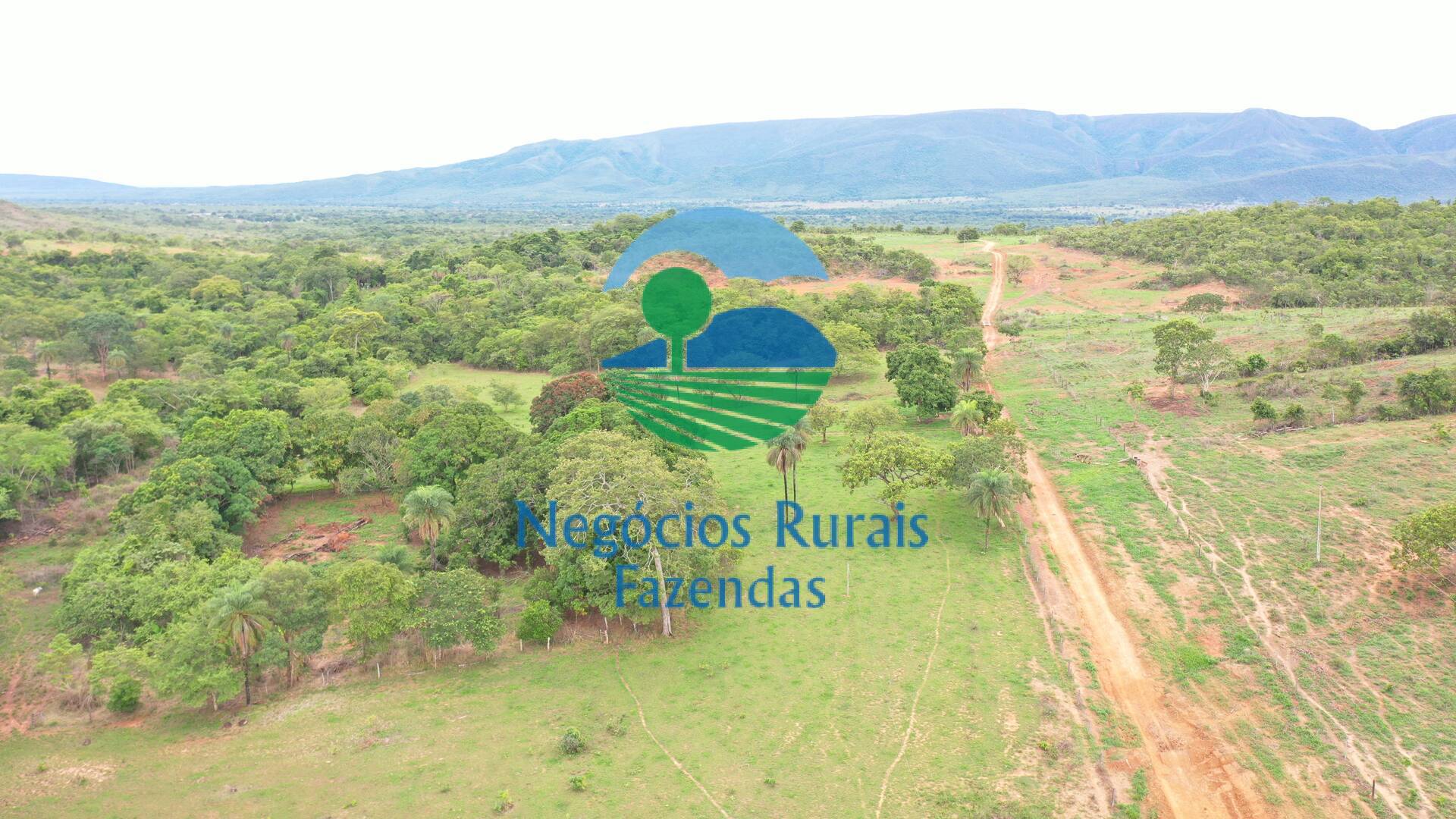 Fazenda de 1.510 ha em São João d'Aliança, GO