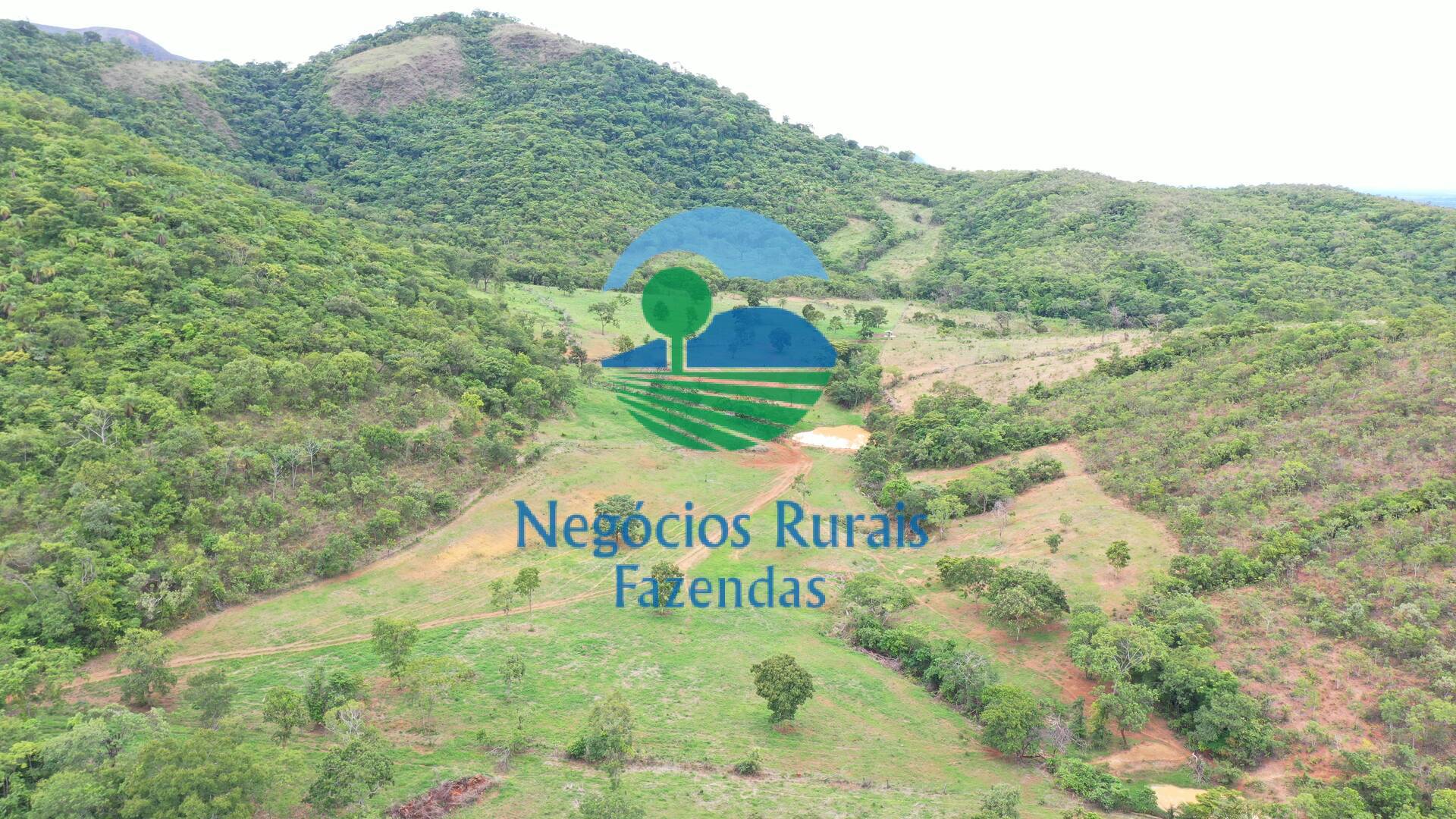 Fazenda de 1.510 ha em São João d'Aliança, GO