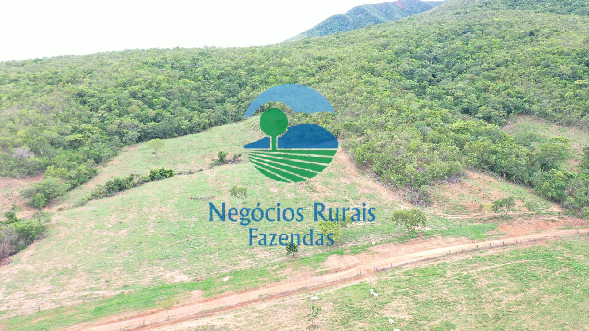 Fazenda de 1.510 ha em São João d'Aliança, GO