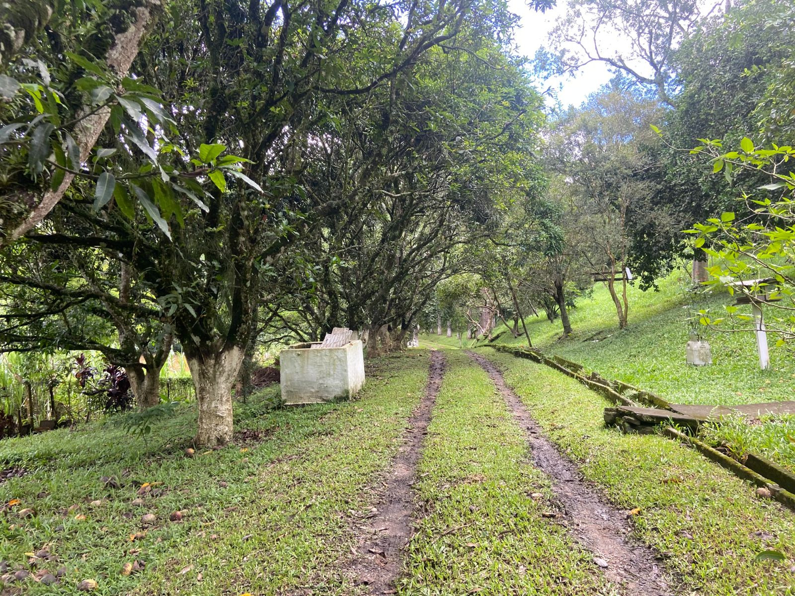 Chácara de 1 ha em Jambeiro, SP