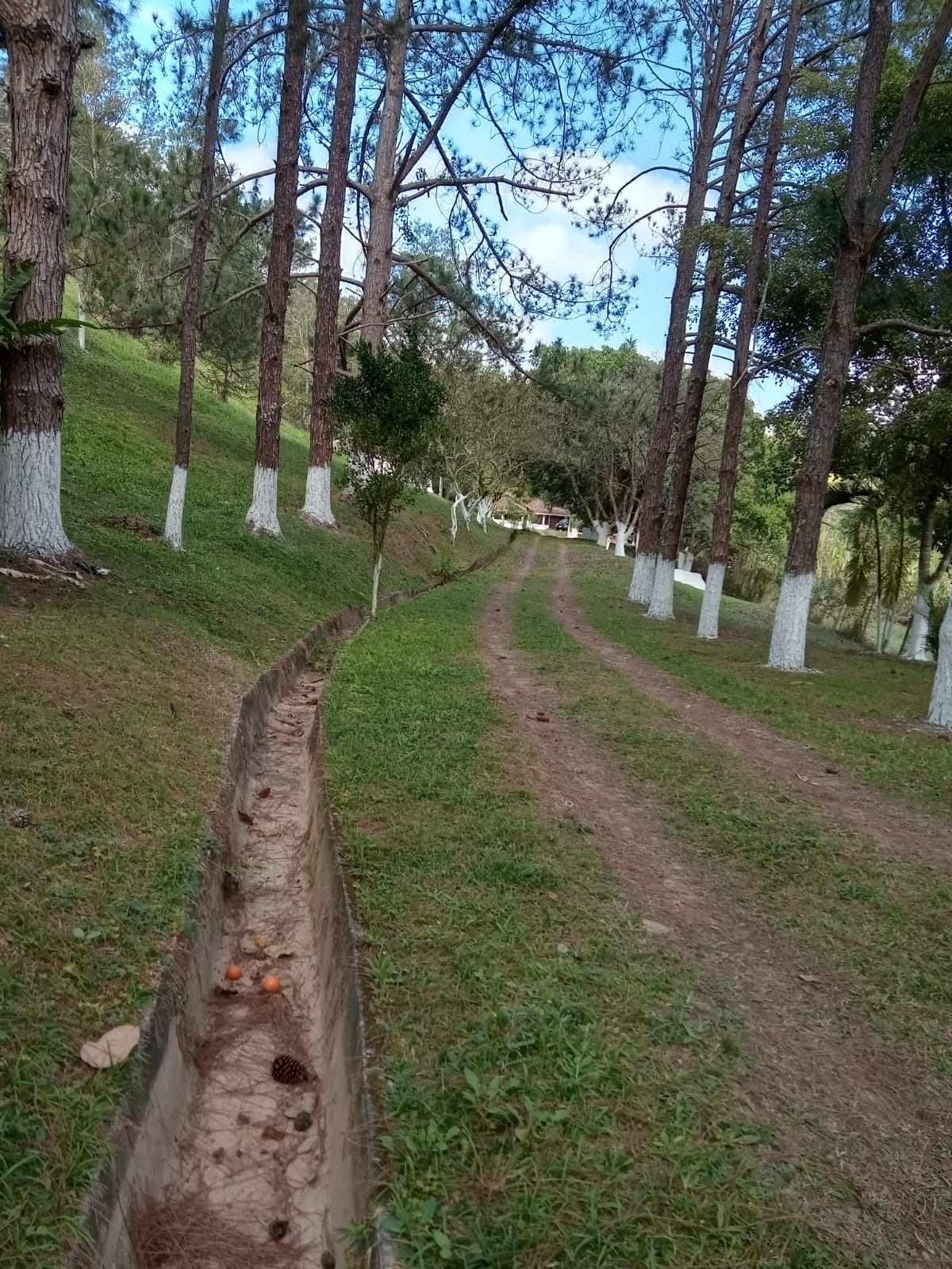 Chácara de 1 ha em Jambeiro, SP