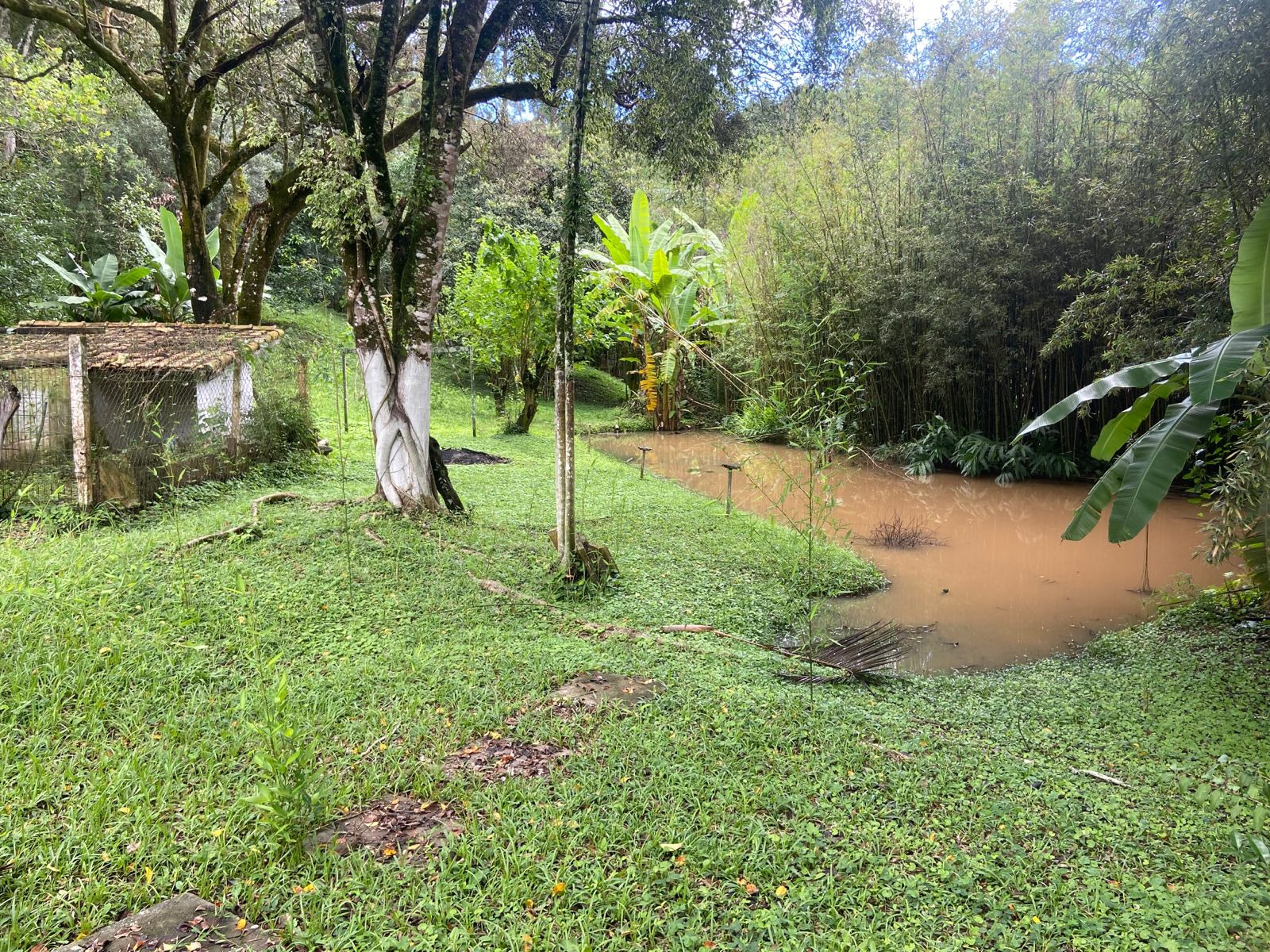 Chácara de 1 ha em Jambeiro, SP