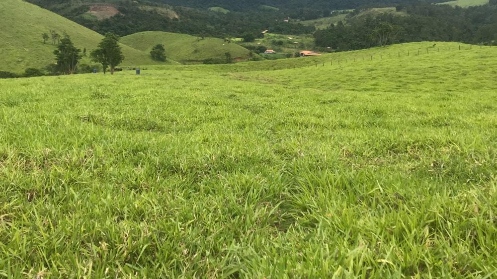 Fazenda de 100 ha em Resende, RJ