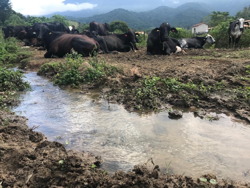 Fazenda de 100 ha em Resende, RJ