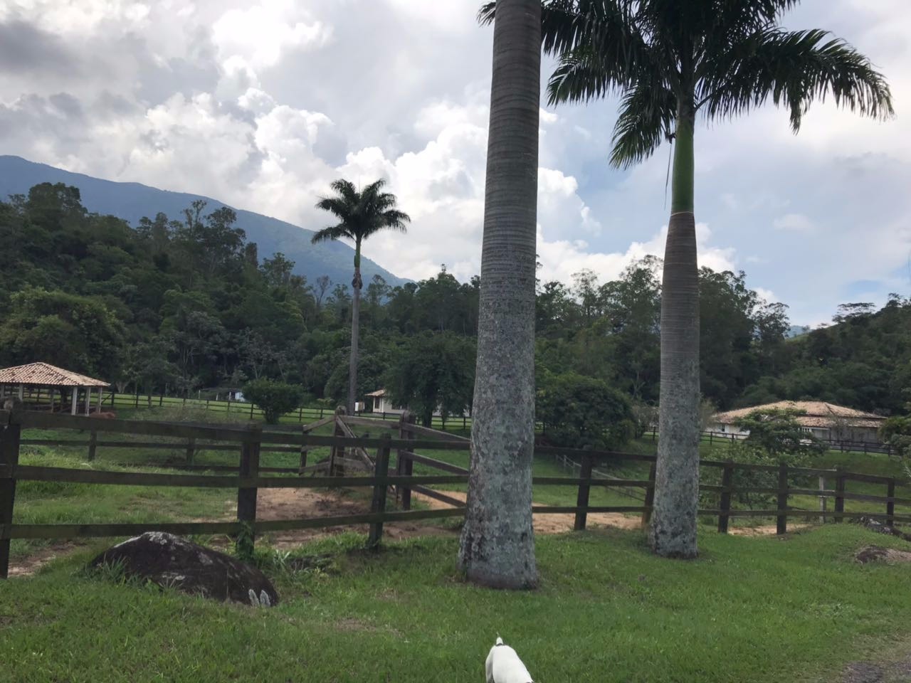 Fazenda de 100 ha em Resende, RJ