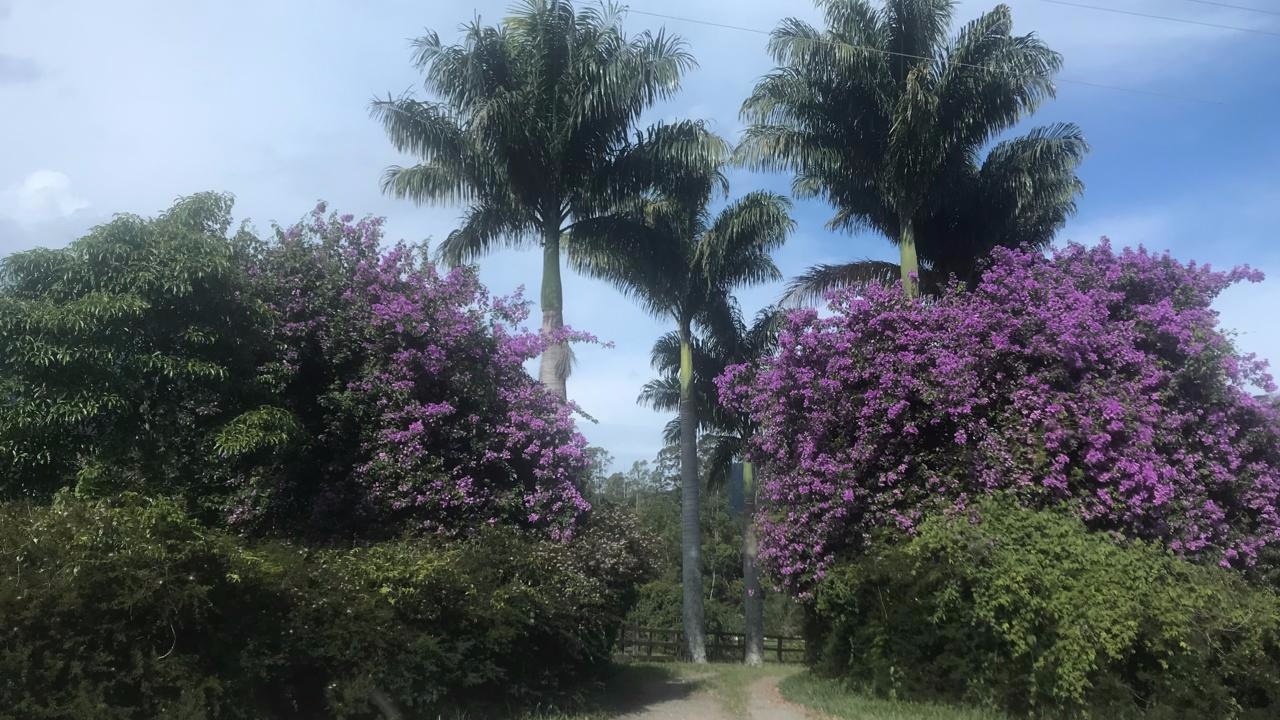 Fazenda de 100 ha em Resende, RJ