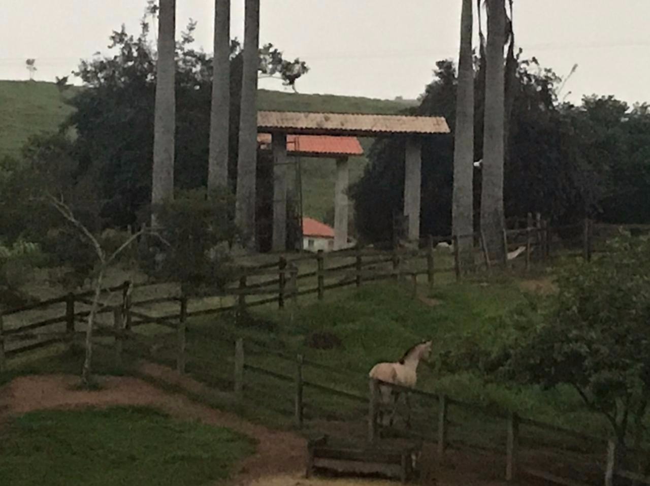 Fazenda de 100 ha em Resende, RJ