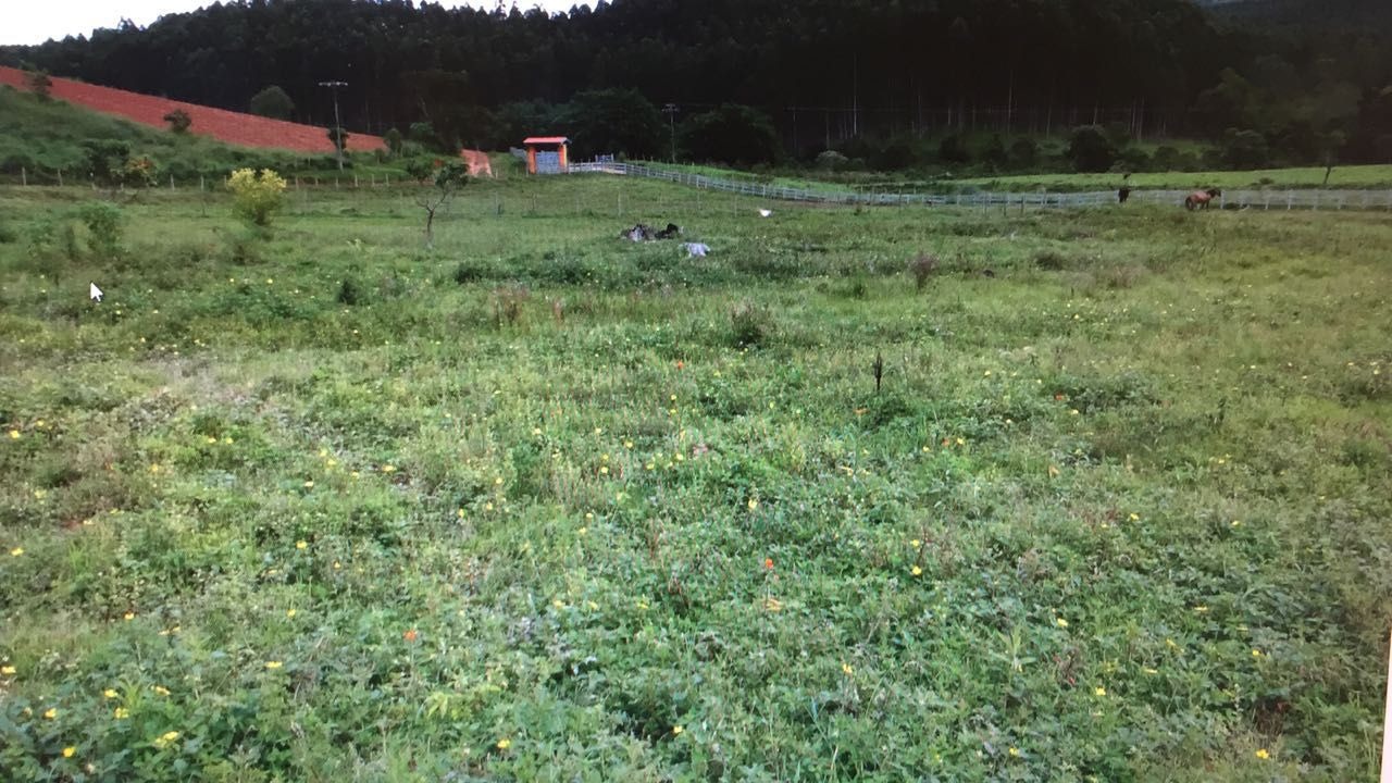 Fazenda de 97 ha em Lagoinha, SP