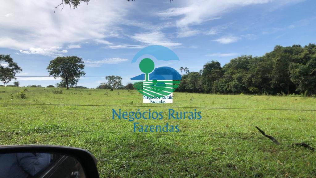 Fazenda de 396 ha em Campinorte, GO