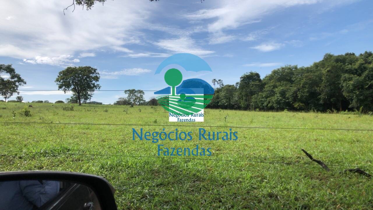 Fazenda de 396 ha em Campinorte, GO