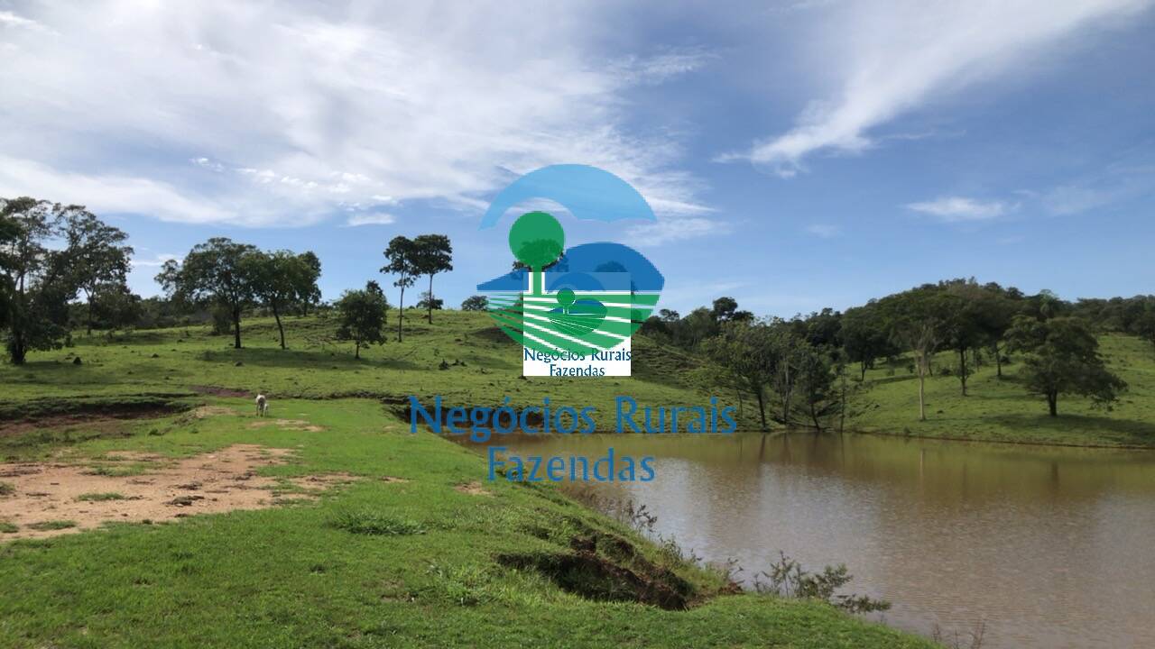 Fazenda de 396 ha em Campinorte, GO