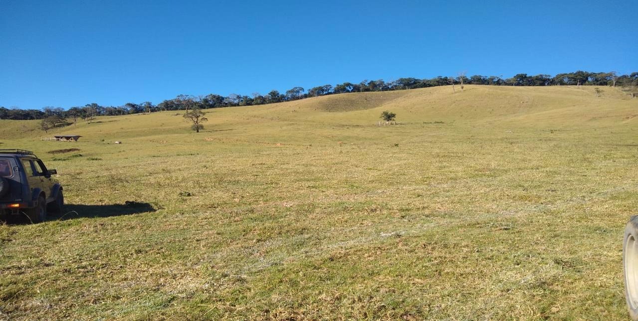 Fazenda de 250 ha em Cambuí, MG