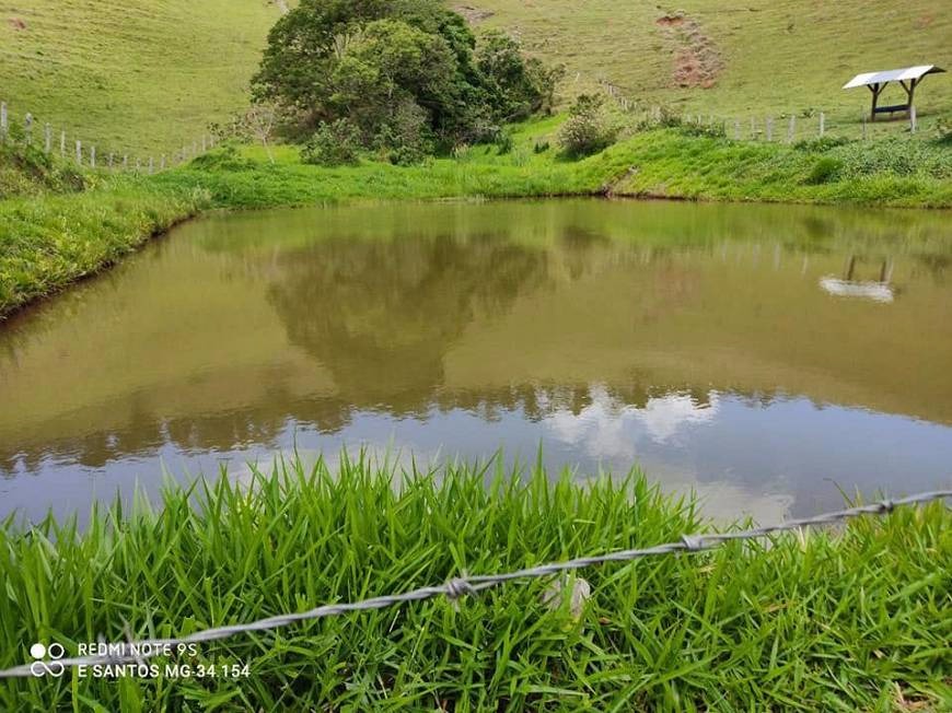 Fazenda de 250 ha em Cambuí, MG