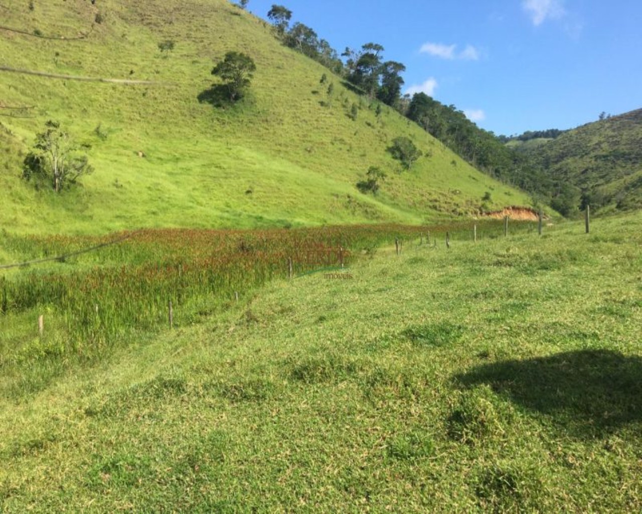 Fazenda de 242 ha em São Luiz do Paraitinga, SP