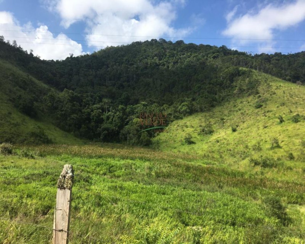 Fazenda de 242 ha em São Luiz do Paraitinga, SP