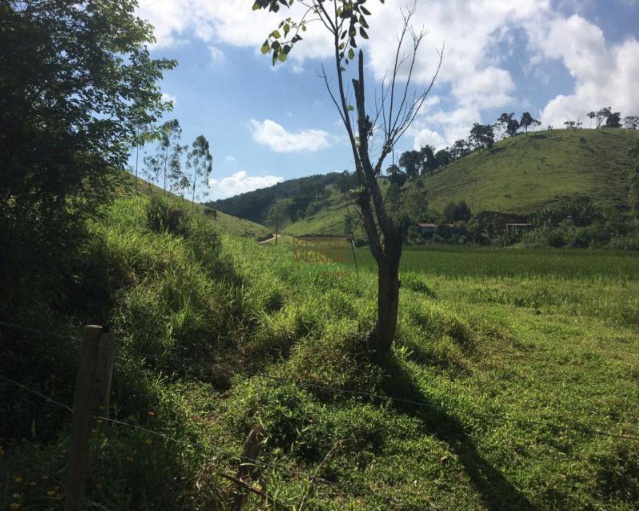 Fazenda de 242 ha em São Luiz do Paraitinga, SP