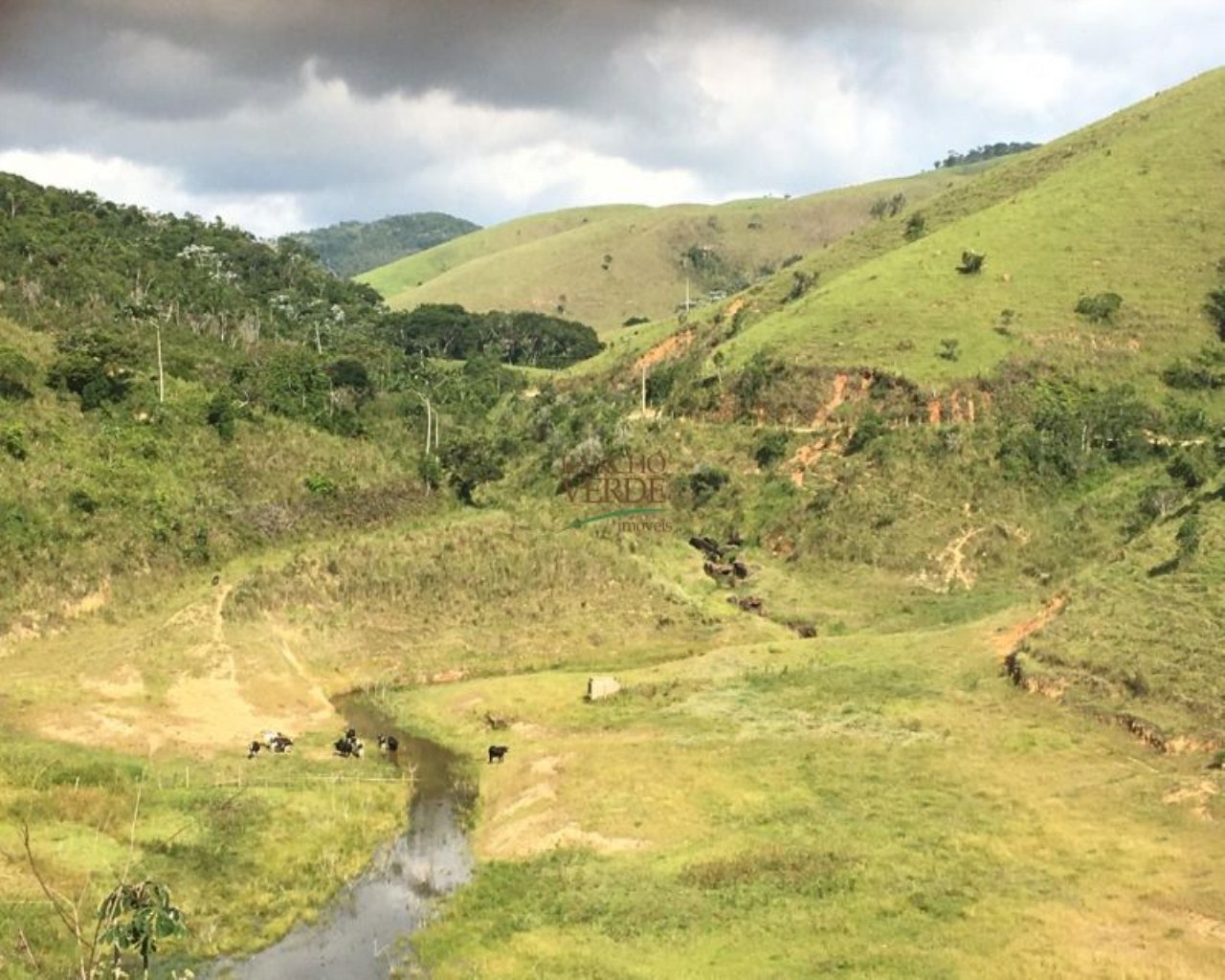 Fazenda de 242 ha em São Luiz do Paraitinga, SP